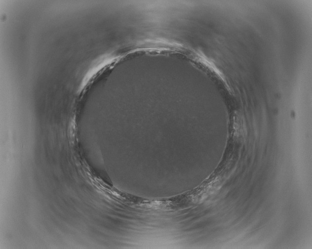 X0000060791352200511171258