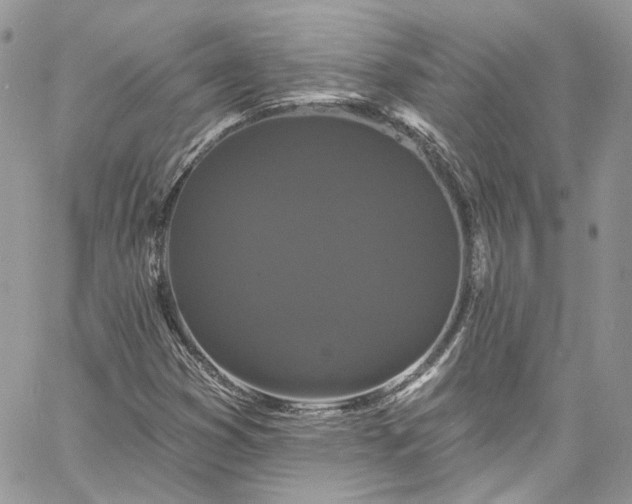 X0000060791353200511171257