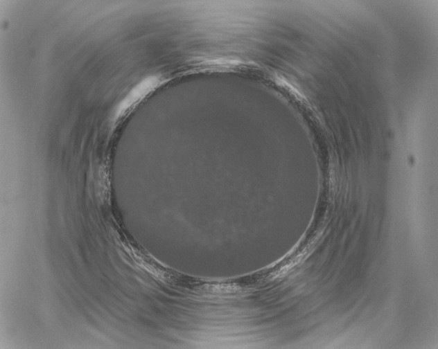 X0000060791354200511171257