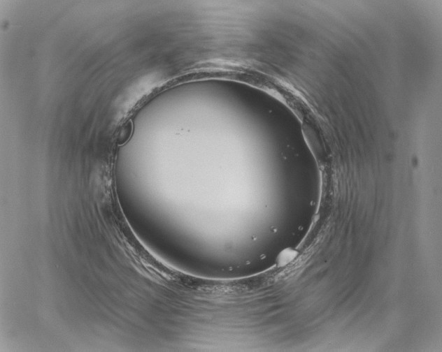 X0000060791355200511171257