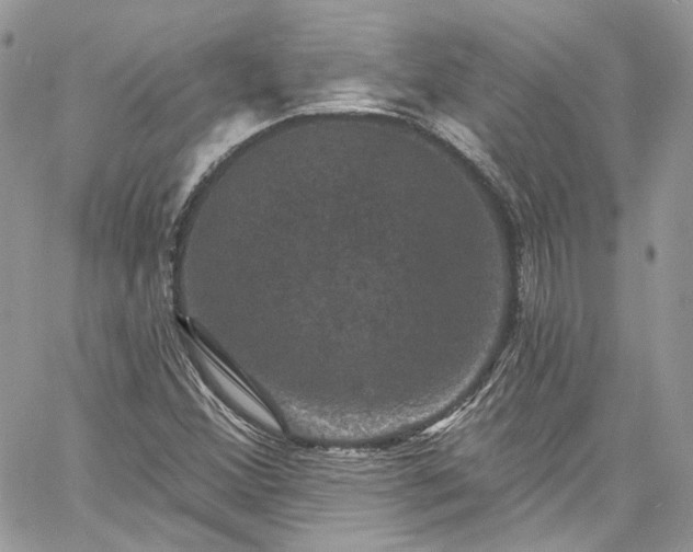 X0000060791356200511171257