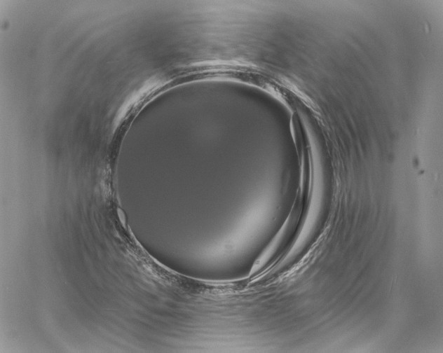 X0000060791357200511171257