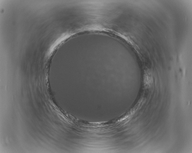 X0000060791359200511171257