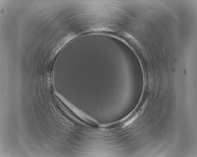 X0000060791361200511171257