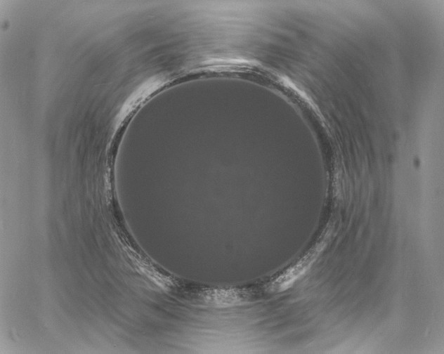 X0000060791362200511171257