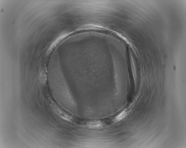 X0000060791363200511171257