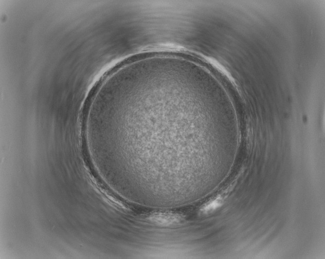 X0000060791364200511171257