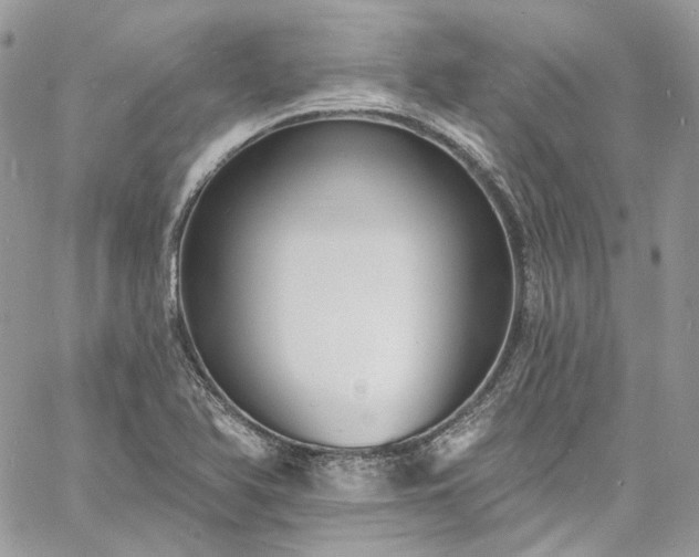 X0000060791366200511171257