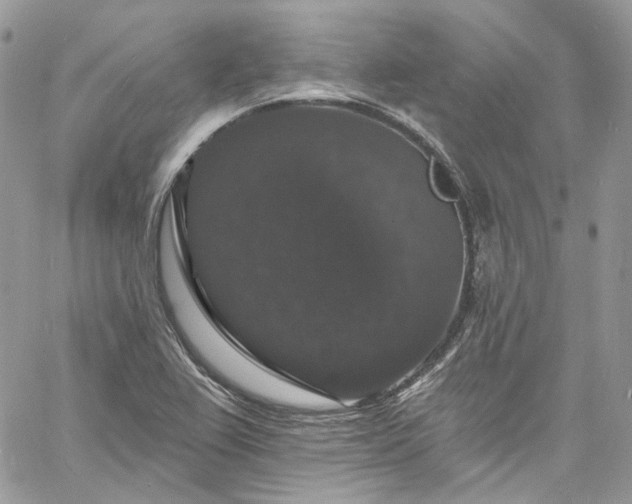 X0000060791367200511171257