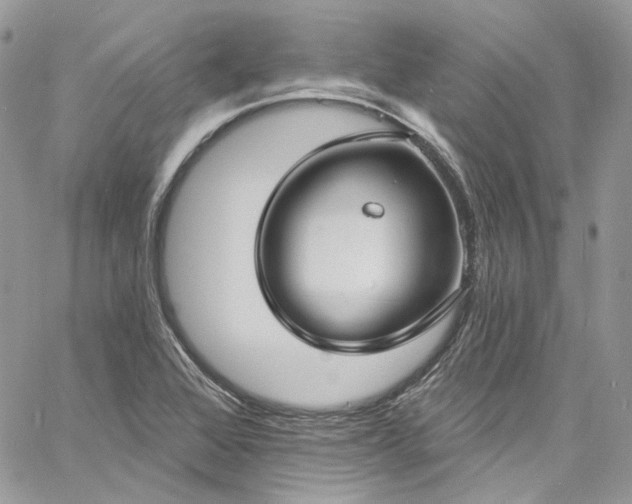 X0000060791368200511171257