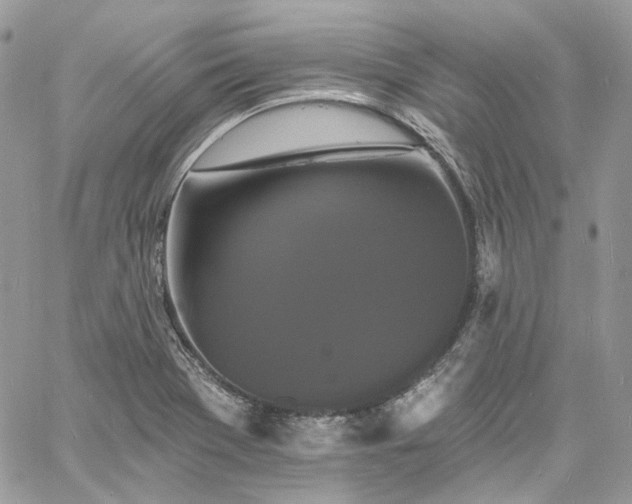 X0000060791369200511171257