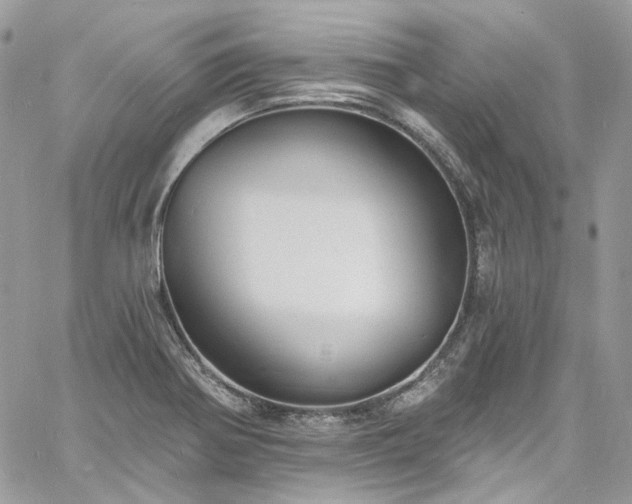 X0000060791370200511171257