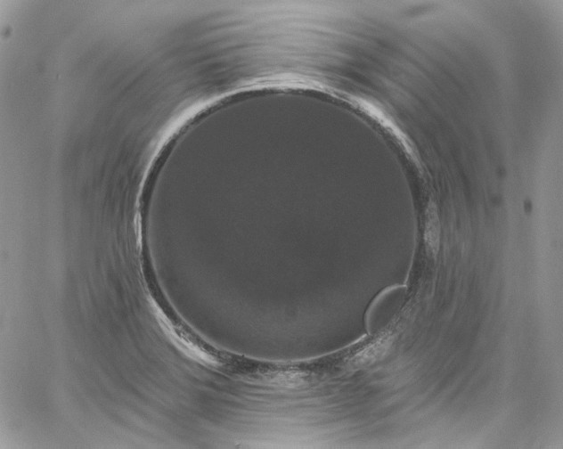 X0000060791372200511171257