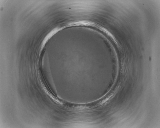 X0000060791373200511171257