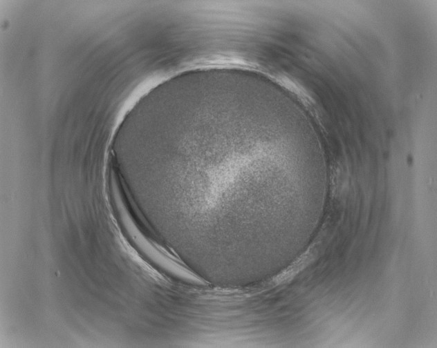 X0000060791374200511171257