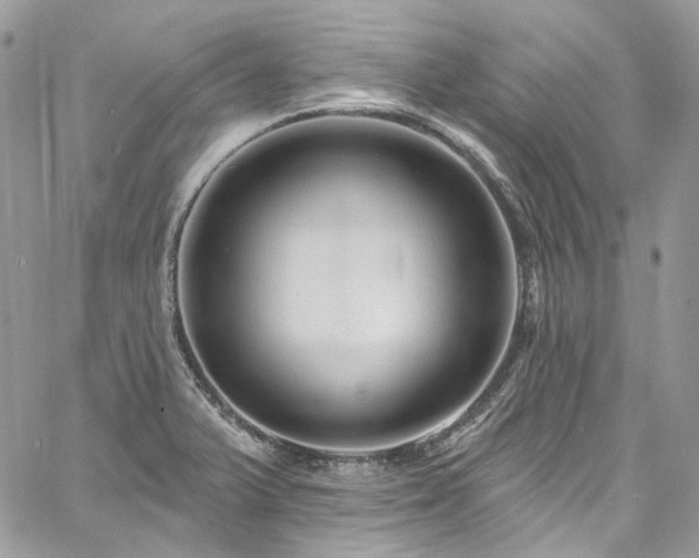 X0000060791375200511171257