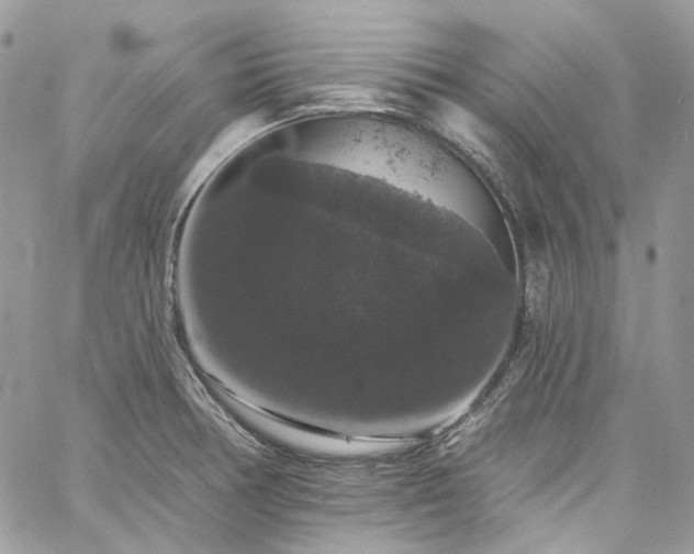 X0000060791378200511171257