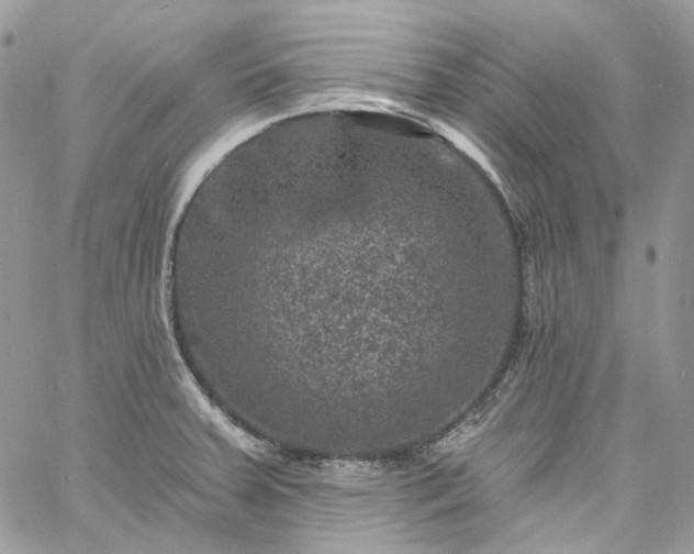 X0000060791379200511171257