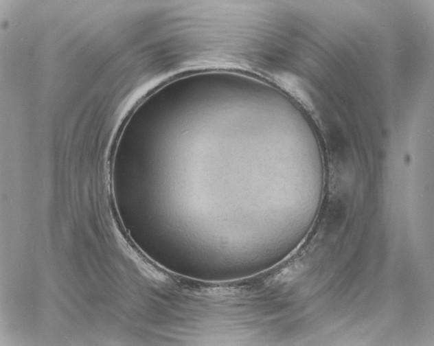 X0000060791380200511171257