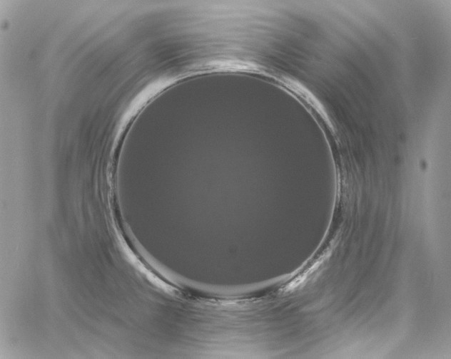 X0000060791381200511171257