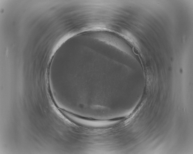 X0000060791382200511171257