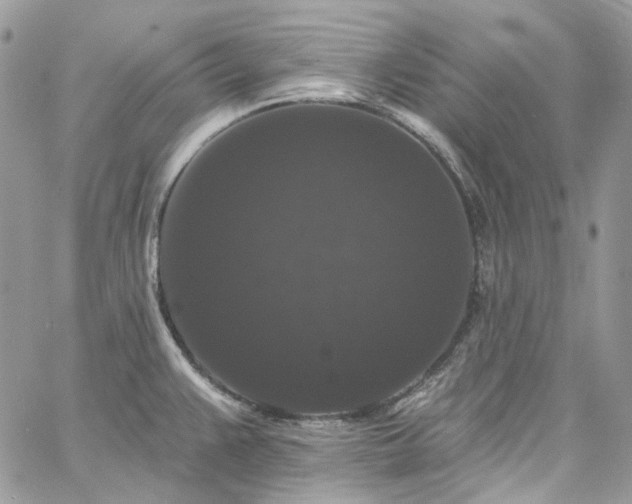 X0000060791383200511171257