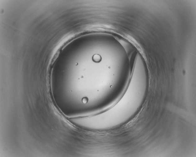 X0000060791384200511171257