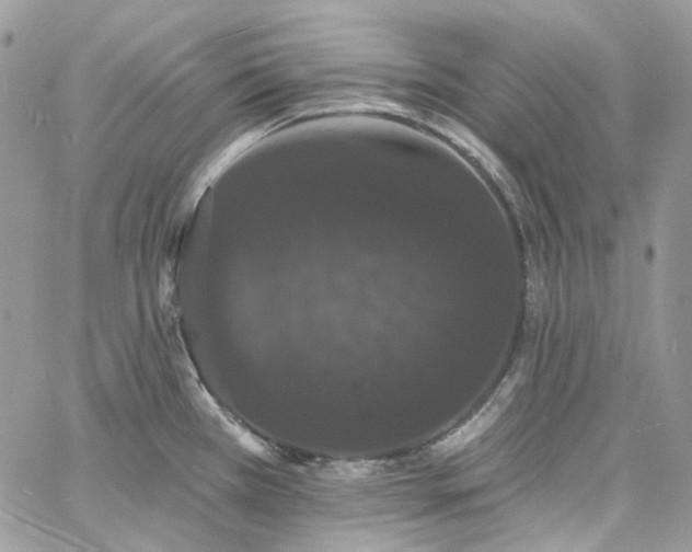 X0000060791385200511171257