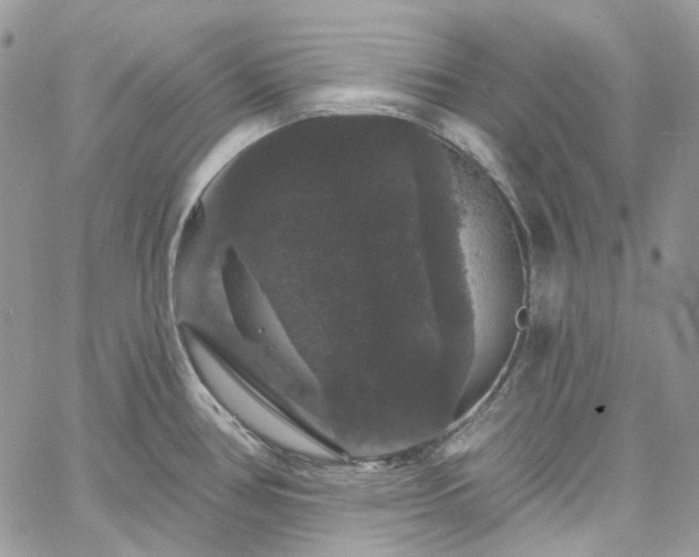 X0000060791386200511171257