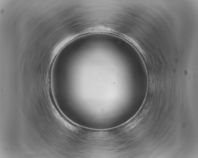 X0000060791387200511171257