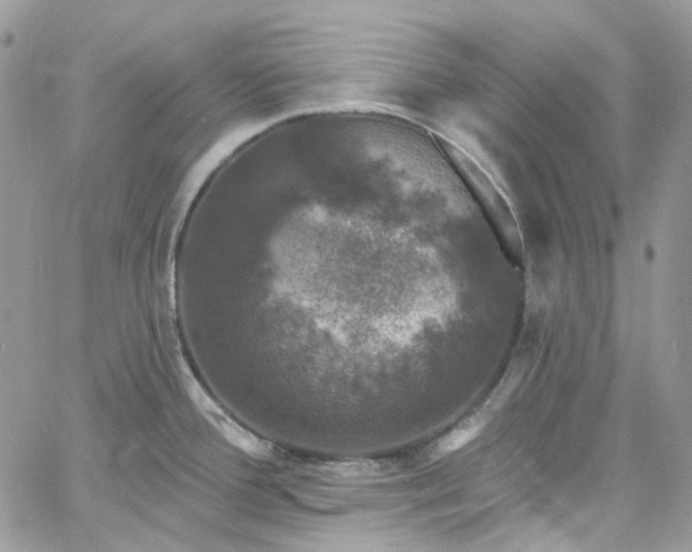 X0000060791388200511171257