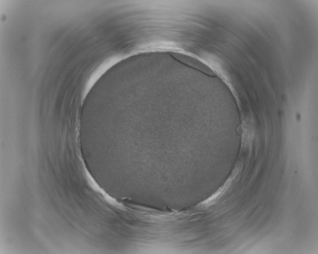 X0000060791390200511171257