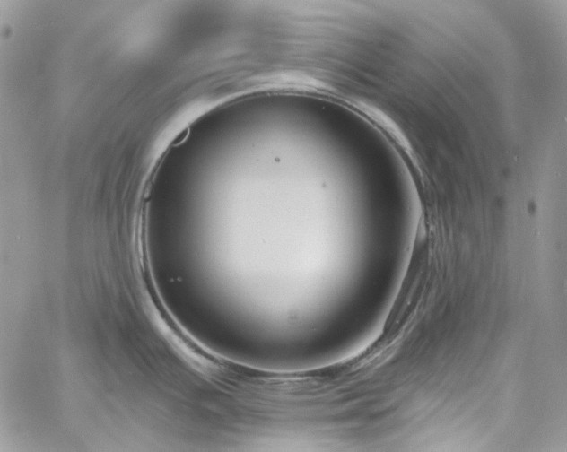 X0000060791391200511171257