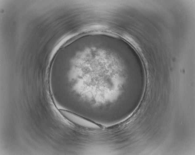 X0000060791392200511171257