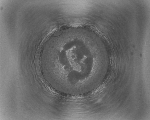 X0000060791393200511171256