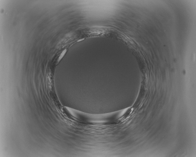 X0000060791394200511171256