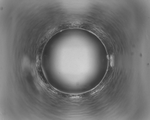 X0000060791395200511171256