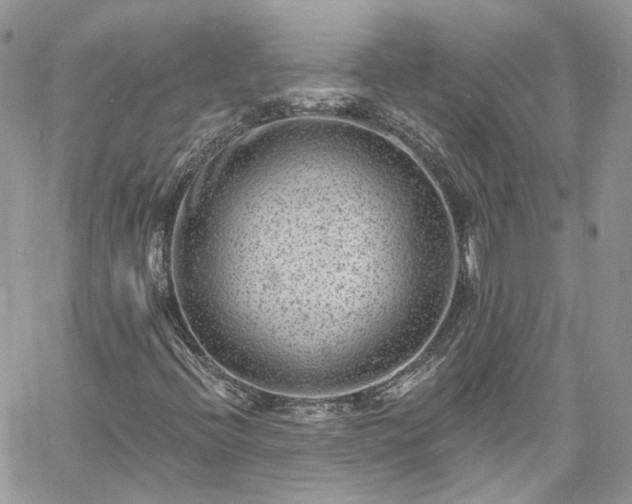 X0000060791396200511171256