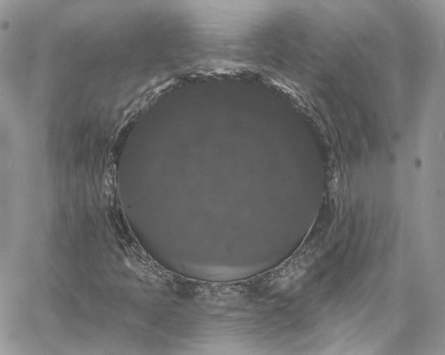 X0000060791397200511171256