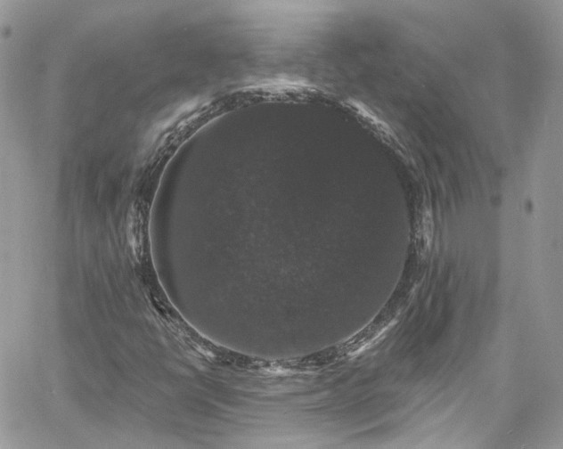 X0000060791398200511171256