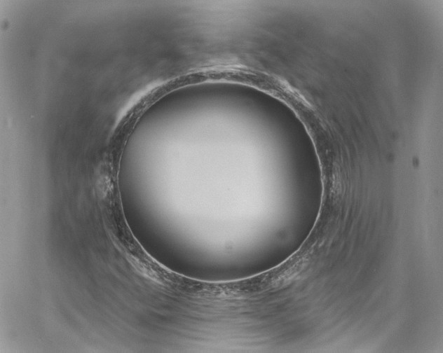 X0000060791400200511171256