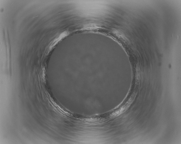 X0000060791401200511171256