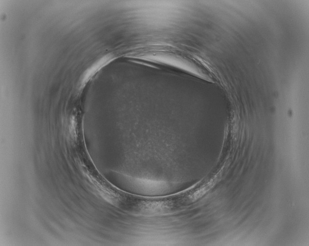 X0000060791402200511171256