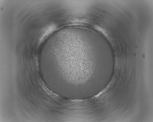 X0000060791403200511171256