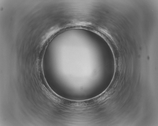 X0000060791404200511171256