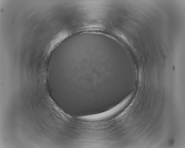 X0000060791405200511171256