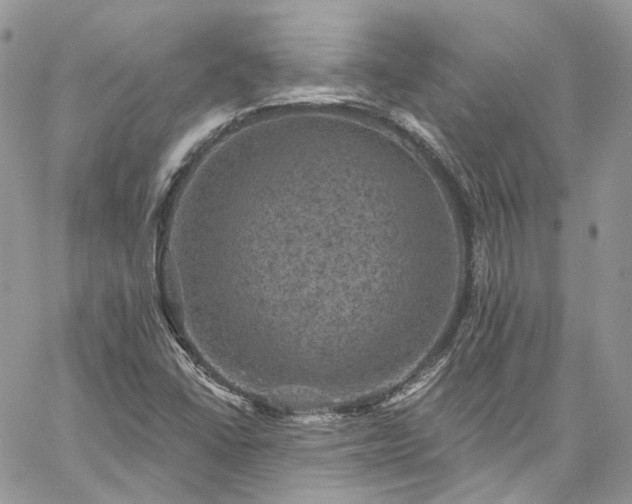 X0000060791406200511171256