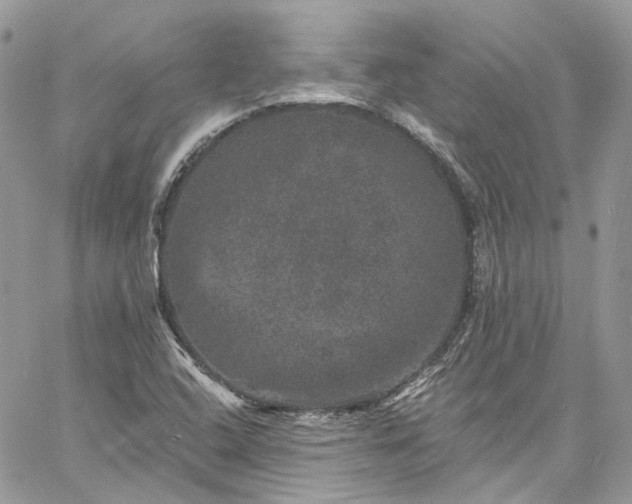 X0000060791408200511171256