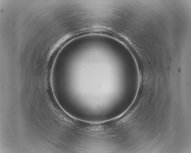 X0000060791410200511171256