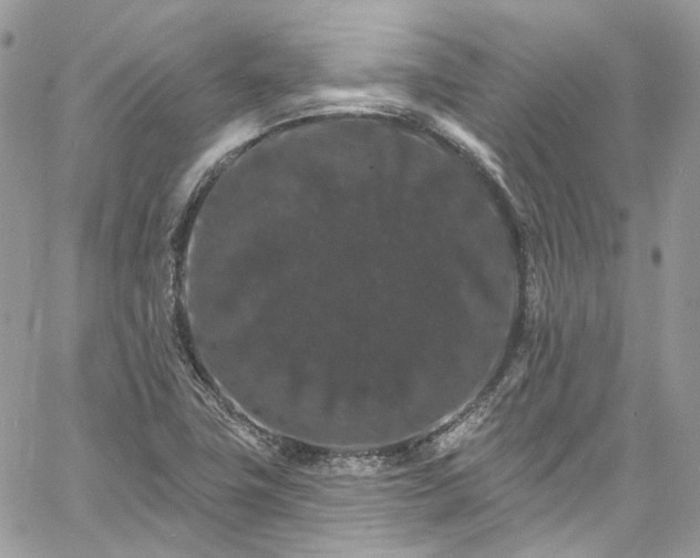 X0000060791411200511171256